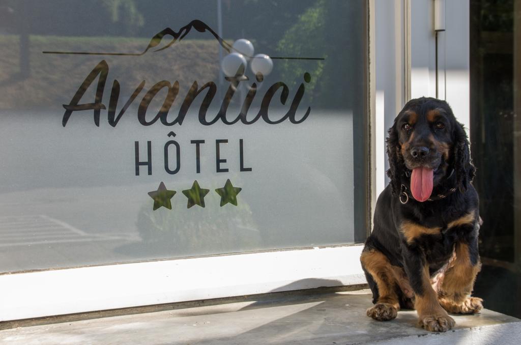 Cit'Hotel Avantici Гап Экстерьер фото